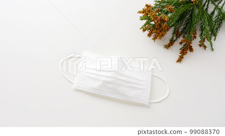 雪松花粉花粉症面膜 99088370