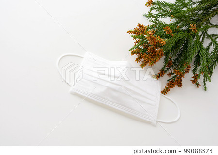 雪松花粉花粉症面膜 99088373