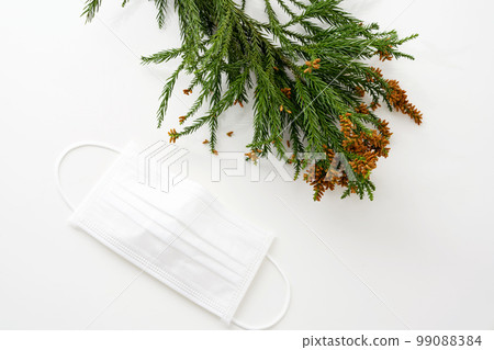 Cedar pollen hay fever mask Cedar pollen hay fever mask 99088384