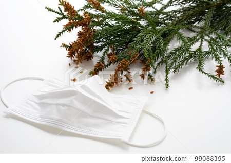 Cedar pollen hay fever mask Cedar pollen hay fever mask 99088395