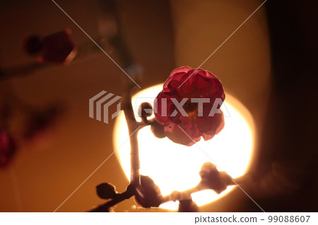 燈火通明的觀燈檯 燈火通明的觀燈檯 99088607
