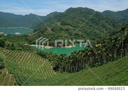 千島湖 千島湖 99088815