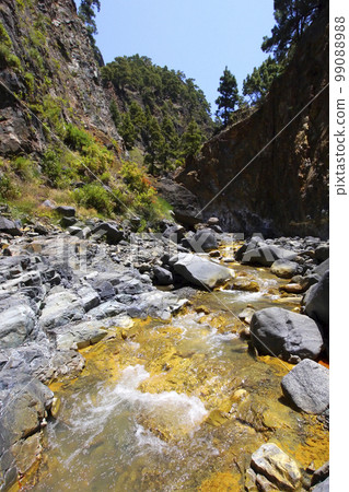 Barranco del Limonero, Caldera de Taburiente National Park, Spain 99088988