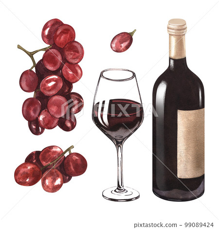 Watercolor illustration of the bottle, one glass of red wine and grape. Picture of a alcoholic drink isolated on the white background. Concept for wine list, label, banner, menu, brochure template. 99089424