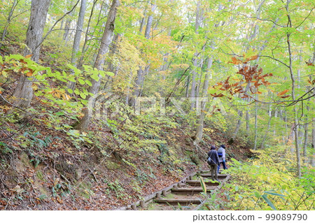 秋色森林中的山路和登山者(福島縣里磐梯市中津川溪谷) 秋色森林中的山路和登山者(福島縣里磐梯市中津川溪谷) 99089790