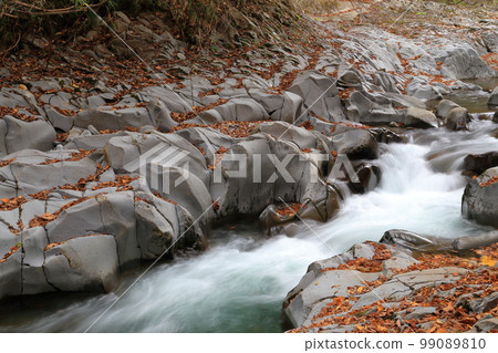 美麗的溪流紅葉（福島縣里磐梯市中津川溪谷） 99089810