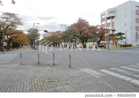 政府機關前十字路口（青森縣十和田市十和田市役所） 99089899
