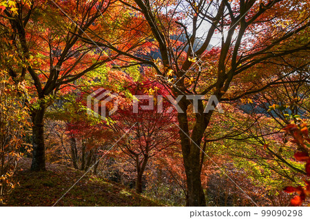 【岐阜】 透明度高的付地川和付地峽閃耀著翠綠色,美得讓人心曠神怡,岩魚也很好吃。 【岐阜】 透明度高的付地川和付地峽閃耀著翠綠色,美得讓人心曠神怡,岩魚也很好吃。 99090298