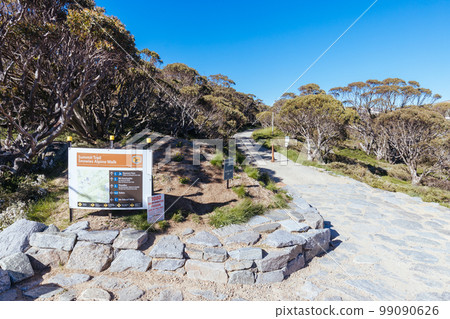 Kosciuszko Summit Walk in Australia 99090626