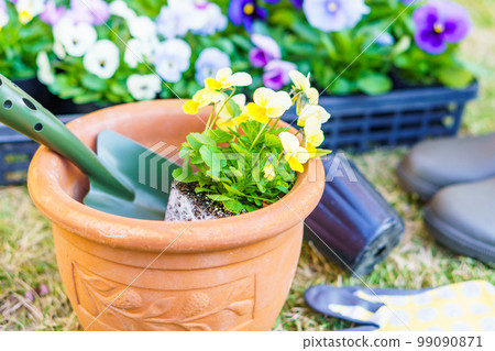 Gardening|Unglazed pots and many flowers Gardening|Unglazed pots and many flowers 99090871