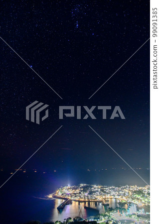 Night view of Izu Inatori (Higashiizu Town, Kamo District, Shizuoka Prefecture) 99091385