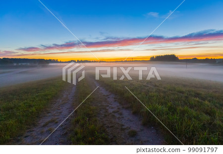 Dreamy green meadow with wild clover. Evening landscape with mist Dreamy green meadow with wild clover. Evening landscape with mist 99091797