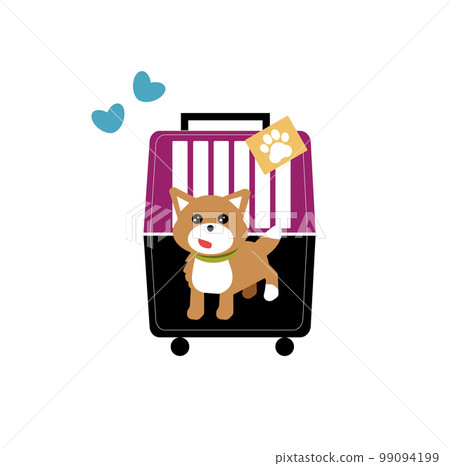 The funny little corgi is sitting in his dog carrier. The dog case is black and violet. The funny little corgi is sitting in his dog carrier. The dog case is black and violet. 99094199