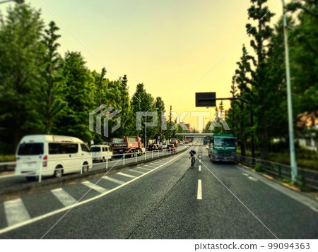 Tokyo roads. Tree-lined streets. Street trees. 99094363