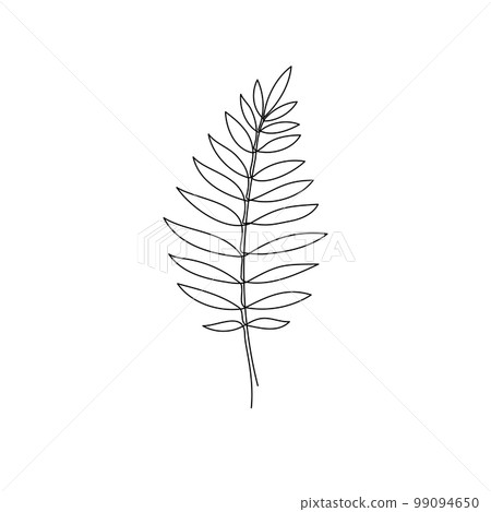 Line bay laurel leaf branch art. One continuous line art decorative bay laurel leaf draw. Editable stroke single branch element. Isolated Line bay laurel leaf branch art. One continuous line art decorative bay laurel leaf draw. Editable stroke single branch element. Isolated 99094650