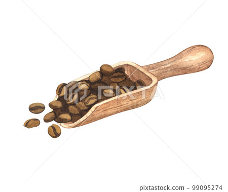 Watercolor coffee beans from wooden scoop. Hand-drawn illustration isolated on white background. Perfect food menu, concept for cafe, restaurant element, recipe book, cooking. Watercolor coffee beans from wooden scoop. Hand-drawn illustration isolated on white background. Perfect food menu, concept for cafe, restaurant element, recipe book, cooking. 99095274