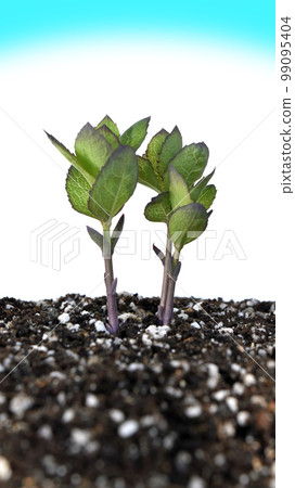 戰爭與和平圖片我聽到了戰爭的腳步聲 99095404