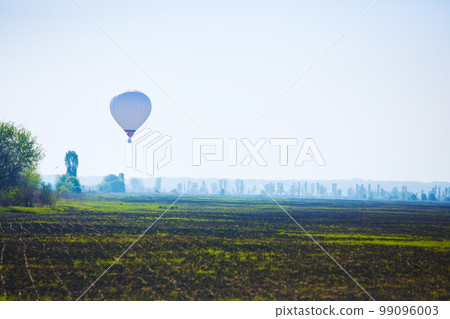 balloon 99096003