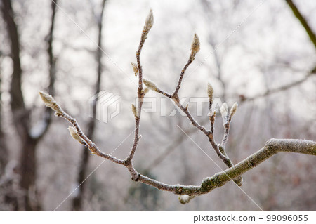 winter mood winter mood 99096055