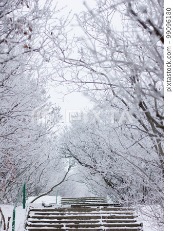 winter mood winter mood 99096180
