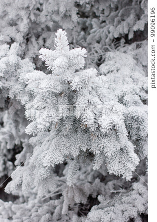 winter mood winter mood 99096196