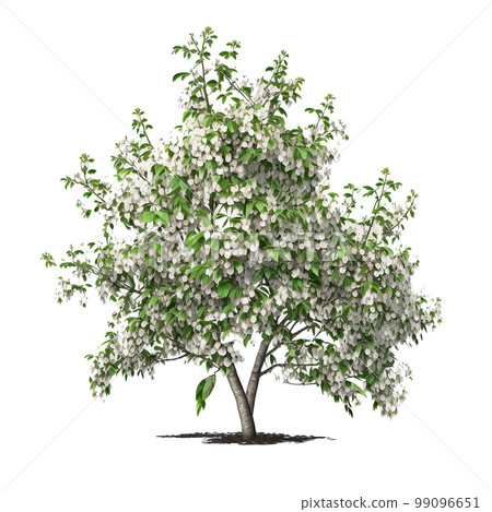 Apple Tree Isolated. Illustration Generative  AI 99096651