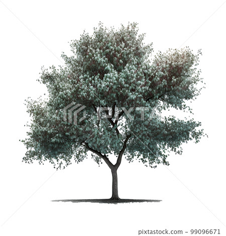 Cherry Blossom Tree Isolated. Illustration Generative AI 99096671