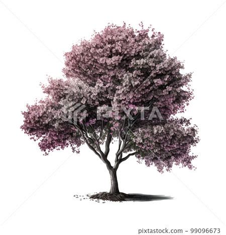 Cherry Blossom Tree Isolated. Illustration Generative AI 99096673