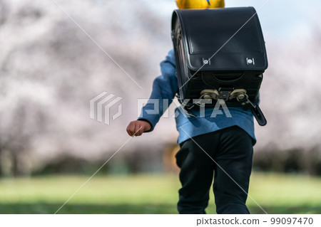 elementary student, primary school child, primary school student 99097470