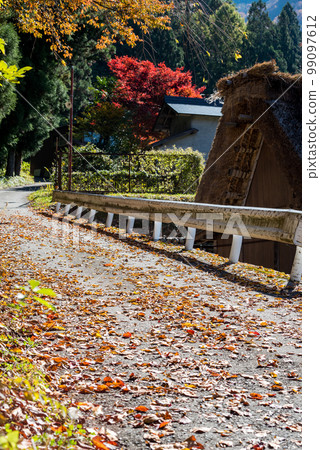 [白川鄉]紅葉盛開和合掌造村落漫步 99097612