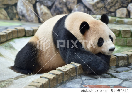 放鬆的陽光海灘 99097715