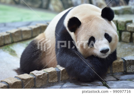 放鬆的陽光海灘 99097716