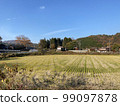 Countryside landscape full of nature 99097878