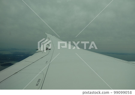 機翼 機翼 99099058