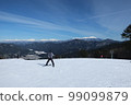 skiing under the blue sky 99099879