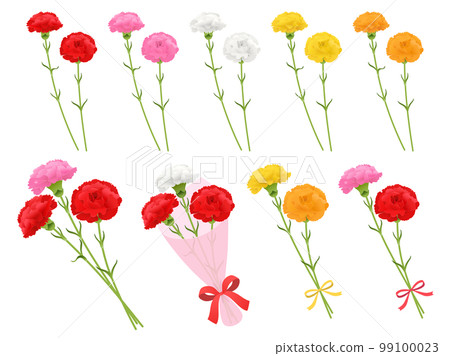 Set of carnations 99100023