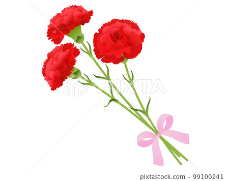 康乃馨花束_紅色 康乃馨花束_紅色 99100241