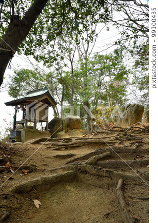 奧見山[奈良縣天理市] 99100435