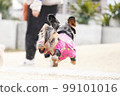 Running dog 99101016