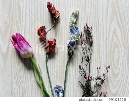 乾花花束 99101216