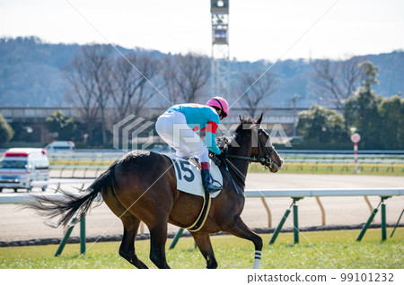 racetrack, racehorse 99101232