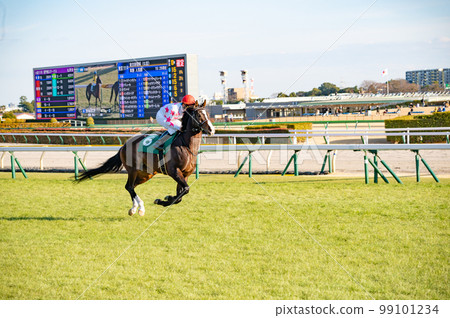 賽馬場，賽馬 99101234