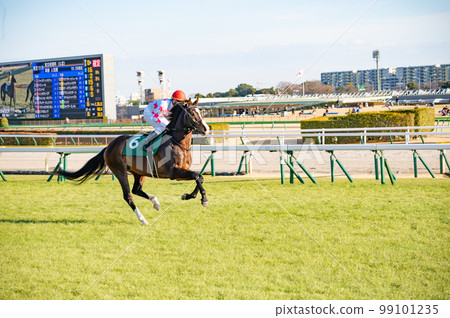 racetrack, racehorse 99101235