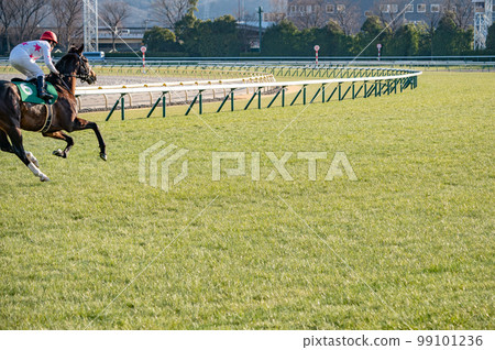 racetrack, racehorse 99101236