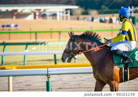 賽馬場,賽馬 賽馬場,賽馬 99101239