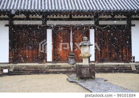 Snow/Shin-Yakushiji Temple [Nara City, Nara Prefecture] 99101884