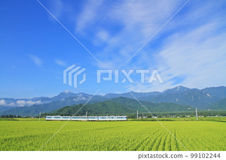 Oito Line Shinshu Color 115 Series August 13, 2014 99102244