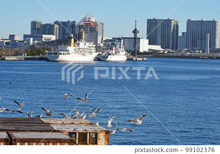 海鷗的休息地 海鷗的休息地 99102376