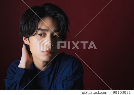 男士正裝襯衫 男士正裝襯衫 99103931