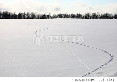 雪原蝦夷赤狐的腳印 99104135